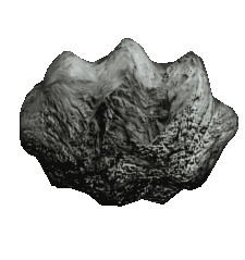 asteroid3