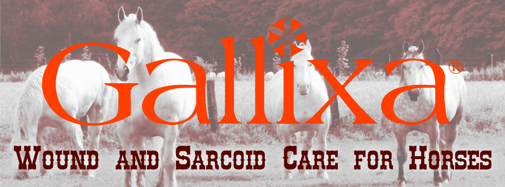 Gallixa: Sarcoid and Wound Care for Horses